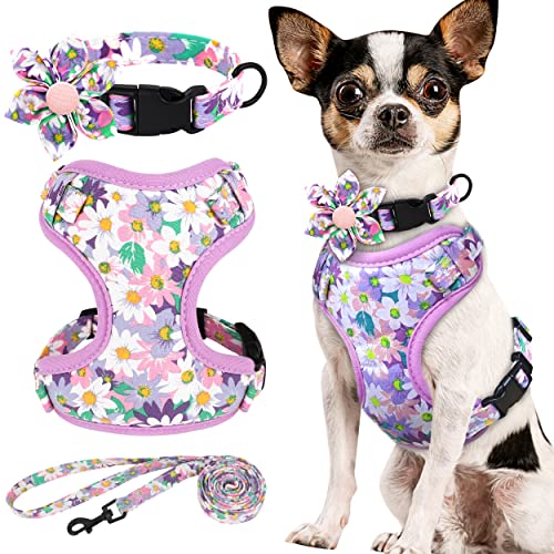 Beirui Set mit Halsbändern, Geschirre und Leinen für Mädchen, verstellbares Hundehalsband und Leine, Set mit Blume, weiches Netzgewebe, für Welpen, kleine und extra kleine Hunde, Katzen (Lila, Größe von Beirui