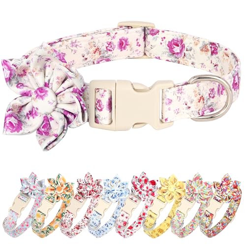 Beirui Süßes Frühlings-Hundehalsband mit Blume, leicht, weich, für Hündinnen, männliche Hunde, verstellbares florales Haustierhalsband für kleine, mittelgroße und große Hunde (violette Blume, M) von Beirui