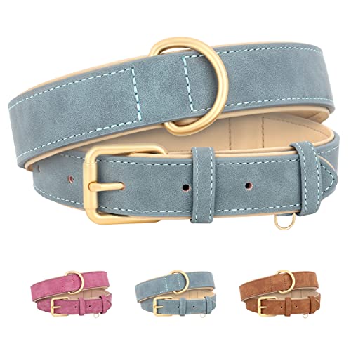 Beirui Weich gepolstertes Leder-Hundehalsband für Hunde, bequemes, strapazierfähiges, kleines, mittelgroßes, blau, Halsumfang 25.4–33 cm von Beirui