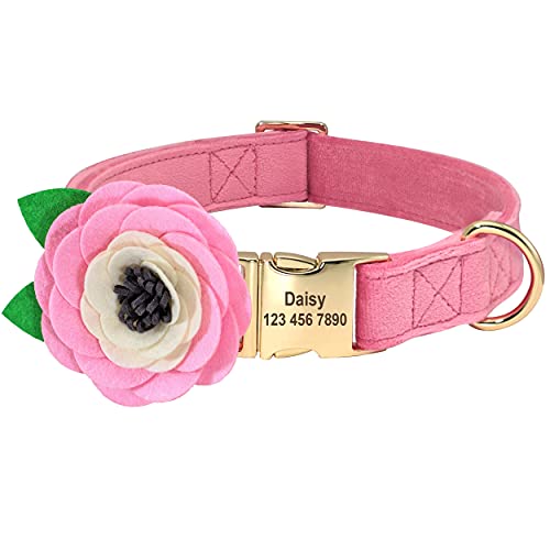 Beirui Weiches Samt-Hundehalsband mit abnehmbarem Blumen-Zubehör – personalisiertes, süßes Hundehalsband mit Namensschild – Bezauberndes Halsband für kleine, mittelgroße und große Hunde (Pink, M) von Beirui