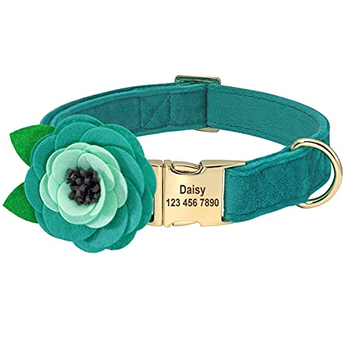 Beirui Weiches Samt-Hundehalsband mit abnehmbarem Blumen-Zubehör – personalisiertes, süßes Hundehalsband mit Namensschild – Bezauberndes Halsband für kleine, mittelgroße und große Hunde (grün, L) von Beirui