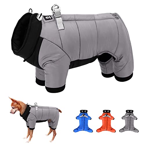 Beirui wasserdicht Winddicht hundemantel für kleine Hunde,Dicke warm hundejacke hundemantel Winter mit Geschirr,hundemantel französische Bulldogge Yorkshire Terrier Chihuahua Kleidung von Beirui