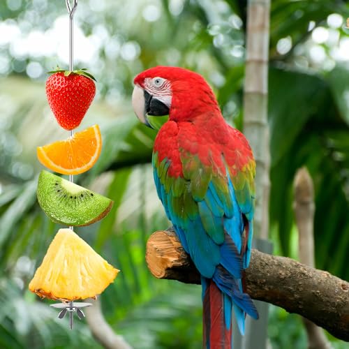 Bekecidi Papageienspieß, Futterspieß, Edelstahl, für Vögel, Gemüse, Papageien, Leckereien, Stäbchen, Obstfutterhalter, Vogelfutter-Spielzeug, hängendes Futterwerkzeug für Wellensittiche, Papageien, von Bekecidi