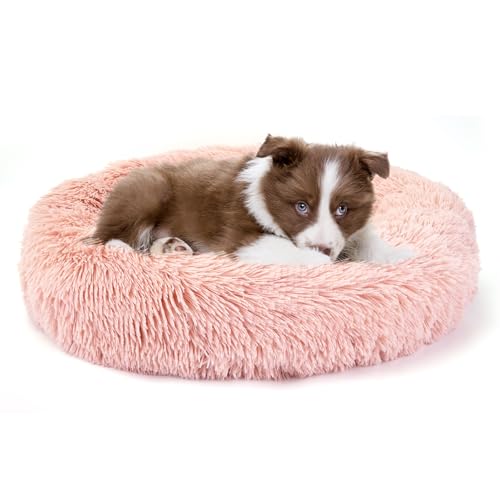 Belababy Beruhigendes Hunde- und Katzen-Donut-Bett mit Decke, XS, waschbar, mit flauschigem, rundem Kuschel, weichem Plüsch, Bett 40.6 cm, Decke 50.8x71.1 cm) von Belababy