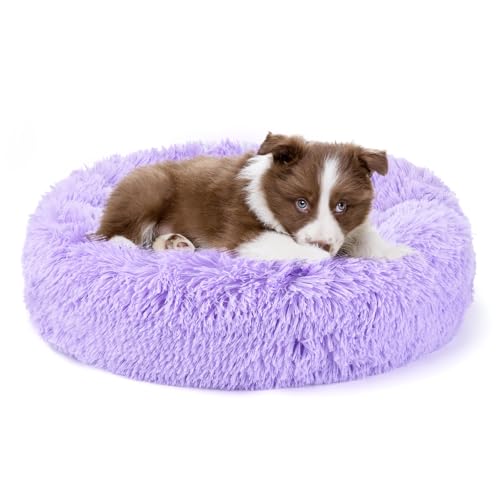 Belababy Beruhigendes Hunde- und Katzen-Donut-Bett mit Decke, XS, waschbar, mit flauschigem, rundem Kuschel, weichem Plüsch, Bett 40.6 cm, Decke 50.8x71.1 cm) von Belababy