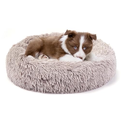 Belababy Beruhigendes Hunde- und Katzen-Donut-Bett mit Decke, XS, waschbar, mit flauschigem, rundem Kuschel, weichem Plüsch, Bett 40.6 cm, Decke 50.8x71.1 cm) von Belababy