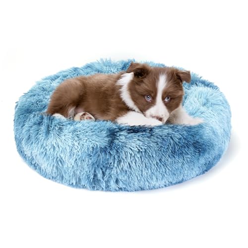 Belababy Beruhigendes Hunde- und Katzen-Donut-Bett mit Decke, XS, waschbar, mit flauschigem, rundem Kuschel, weichem Plüsch, Bett 40.6 cm, Decke 50.8x71.1 cm cm) von Belababy