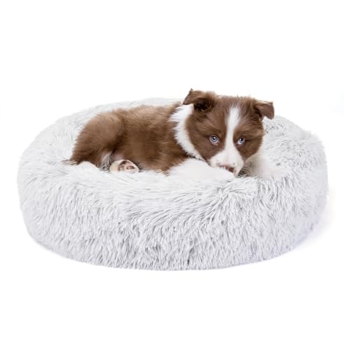 Belababy Beruhigendes Hunde- und Katzen-Donut-Bett mit Decke, große, waschbare Hundebetten mit flauschigem, rundem Kuschel, weichem Plüsch, Bett 71.1 cm, Decke 81.3x101.6 cm cm) von Belababy