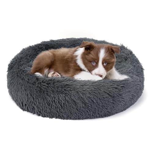 Belababy Beruhigendes Hundebett, Katzenbett, Donut, groß, flauschig, rund, kuschelig, waschbar, weiches Plüsch-Hundenest und Haustier-Überwurfdecke, Bett 71.1 cm, Decke 81.3x101.6 cm) von Belababy