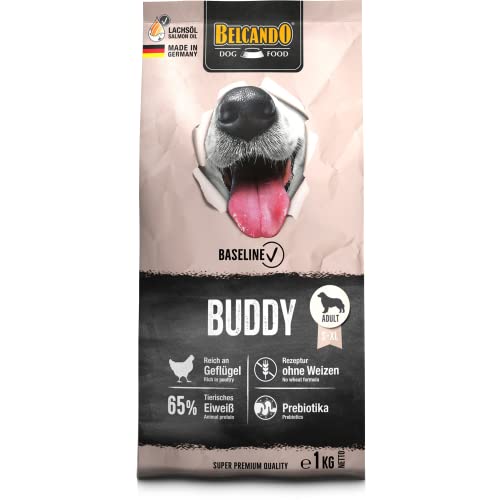 BELCANDO Baseline Buddy [1kg] Hundefutter | Trockenfutter für Hunde | Für ausgewachsene Hunde | Geeignet für alle Rassen | Mit Prebiotika von Belcando