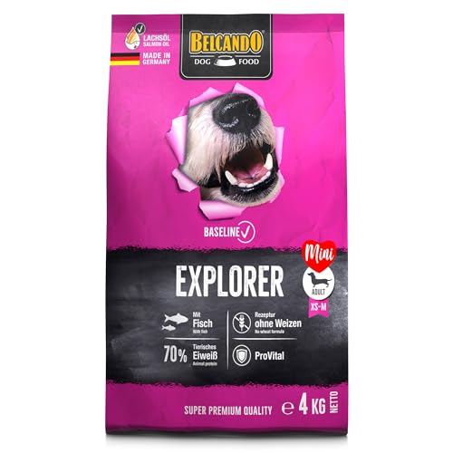 BELCANDO Baseline Explorer [4kg] Trockenfutter für Hunde | Für ausgewachsene Hunde Kleiner und mittlerer Rassen von Belcando