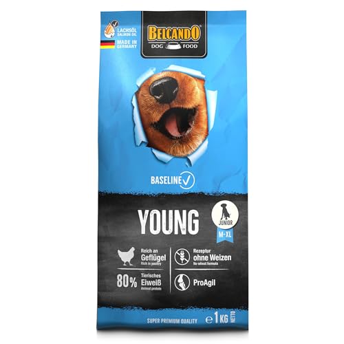 BELCANDO Baseline Young [1kg] Trockenfutter für Hunde | Alleinfuttermittel für Junge Hunde mittlerer und großer Rassen von Belcando