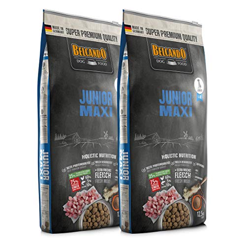 2 x 12,5 kg Belcando Junior Maxi- Sparpaket von Belcando