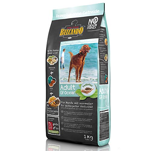 Belcando Adult GF Ocean [1 kg] getreidefreies Hundefutter | Sortenreines Trockenfutter ohne Getreide | Alleinfutter für ausgewachsene Hunde ab 1 Jahr von Belcando