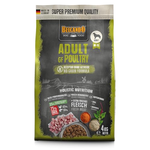 BELCANDO Adult GF Poultry [4 kg] getreidefreies Hundefutter | Trockenfutter ohne Getreide mit Geflügel | Alleinfuttermittel für ausgewachsene Hunde ab 1 Jahr von Belcando