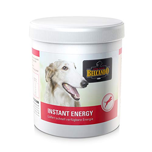 Belcando Instant Energy [500 g] | Energieversorgung für Hunde in Wettkampfbedingungen | Ergänzungsfutter für Hunde von Belcando