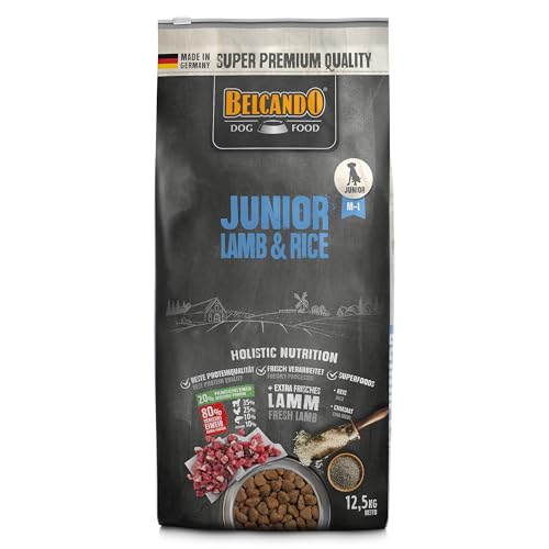 Belcando Junior Lamb & Rice [12,5 kg] Hundefutter | Trockenfutter für Junghunde | Alleinfuttermittel für Junghunde ab 4 Monaten von Belcando