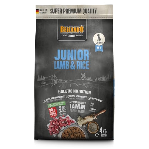 Belcando Junior Lamb & Rice [4 kg] Hundefutter | Trockenfutter für Junghunde | Alleinfuttermittel für Junghunde ab 4 Monaten von Belcando