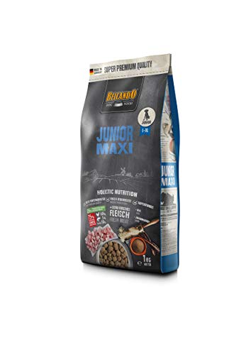 Belcando Junior Maxi Hundefutter | Trockenfutter für Junghunde großer Rassen | Alleinfuttermittel für Junghunde ab 4 Monaten (1 kg neu) von Belcando