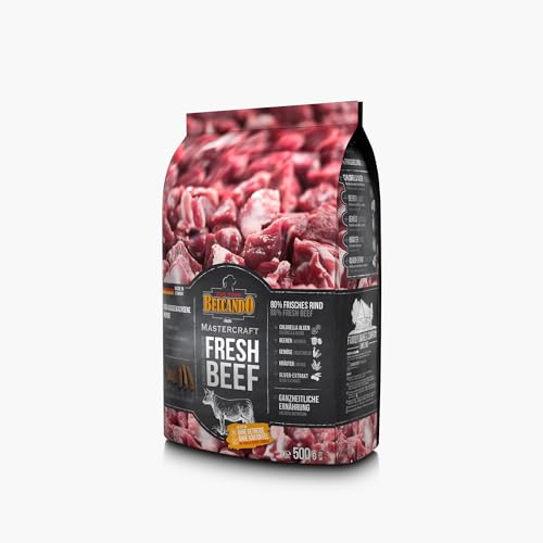 BELCANDO MASTERCRAFT Hundefutter trocken Fresh Beef, 500g, Trockenfutter für Hunde mit Rind, 80% Frischfleisch, getreidefrei, für alle Rassen, Made in Germany von Belcando