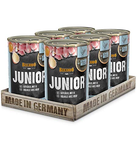 BELCANDO Nassfutter für Hunde, Junior Geflügel mit Ei, 6X 400g Dose, Hundefutter nass, für alle Rassen, Made in Germany von Belcando