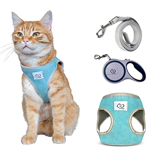 Belffy Katzen-Geschirr und Leine Set mit automatischer Leine für Katzen, Kätzchen, Welpen oder Hunde. Ausbruchsichere Jacke und Leine für große, mittlere und kleine Haustiere (Klein, Blau). von Belffy