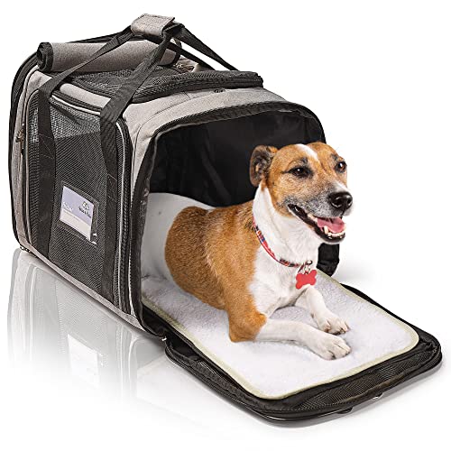 Bella & Balu M Hundebox Hundetransportbox für Hunde und Katzen - grau | 43 x 31 x 34cm Hundebox zum Tragen für Urlaubsreisen und Ausflüge im Flugzeug oder Auto – atmungsaktiv, lichtdurchlässig von Bella & Balu