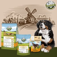 Bellfor Berner Sennenhund Futter Set von Bellfor