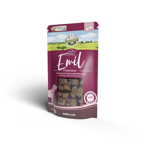 Hundesnacks mit Lachs Emil Protection von Bellfor 100 g/60 st. Immunstärkende Leckerlis, Entwickelt von Veterinären mit Lachsöl, Vitamin D3, Zink, Kurkuma und Ginseng, Perfekt für Training und Reisen. von Bellfor