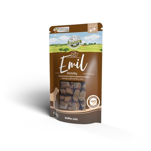 Soft Hundeleckerli mit Lachs - Emil Mobility von Bellfor - 100 g/60 st. Funktionelle Hundeleckerli für aktive Hunde, entwickelt von Tierärzten, reich an natürlichen Zutaten. von Bellfor