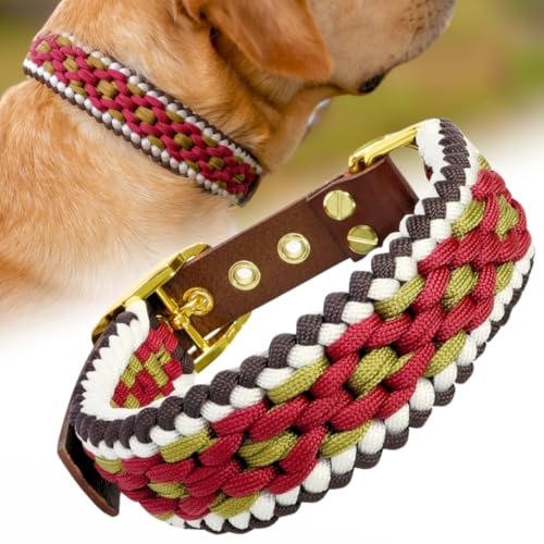 Ben&Bruno Hundehalsband | Breit & Verstellbar | 100% Handgefertigt | Robust, Sicher & Langlebig | Starkes Paracord Halsband | Halsbänder für Kleine, Mittelgroße & Große Hunde | Medium von Ben&Bruno