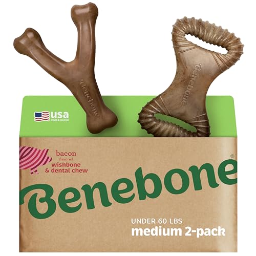 Benebone 2-Pack Indestructible Dental Chew/Wishbone for Aggressive Chewers, Long Lasting Tough Boredom Breaker for Dogs, Real Bacon Flavour, for Medium Dogs, Made in The USA. von Benebone