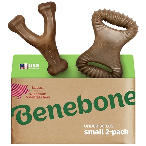 Benebone 2-Pack Indestructible Dental Chew/Wishbone for Aggressive Chewers, Long Lasting Tough Boredom Breaker for Dogs, Real Bacon Flavour, for Small Dogs, Made in The USA. von Benebone