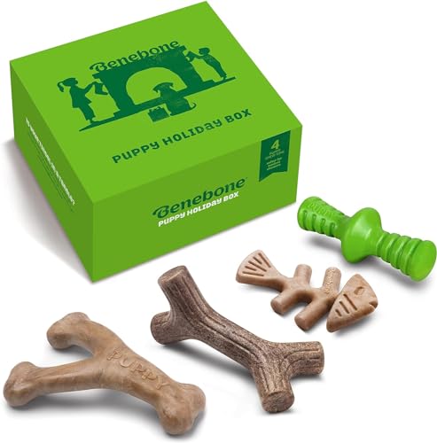 Benebone Puppy Unzerstörbare Hundekauspielzeug Geschenkbox für aggressive Kauer mit Querlenker, Fischgräten, Stock & Zaggler, lang anhaltende Langeweile Brecher, Aromen, für Welpen, von Benebone