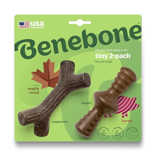 Benebone Winziger 2er-Pack unzerstörbarer Ahornstick/Zaggler für Aggressive Kauer, langanhaltender, robuster Langeweilebrecher für Hunde, echter Speck und Ahornholzgeschmack, für extra kleine Hunde, von Benebone