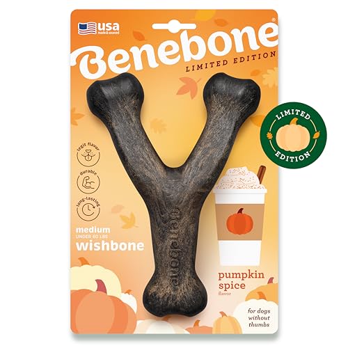 Benebone Wishbone Langlebiges Kauspielzeug für Hunde für Aggressive Kauer, Kürbis, Größe M von Benebone