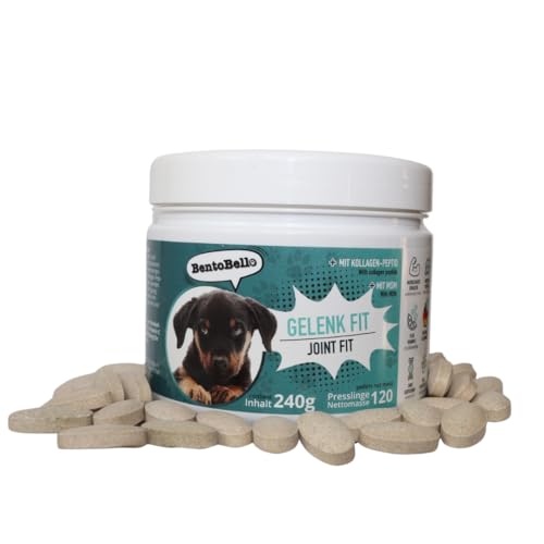 BentoBello Gelenktabletten Hund Gelenkfit für Hunde (120 Presslinge) Hohe Akzeptanz Gelenkunterstützung Gelenkgesundheit Hund Hochwertige Gelenkpflege Hund Natürliche Inhaltsstoffe Grünlippmuschel von BentoBello