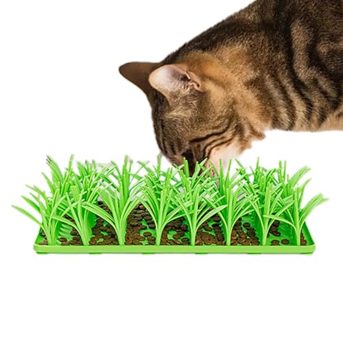 Grasmatte Katze, Einzigartiges Grasdesign, Rutschfestes Slow Food lockt Haustiere an (Green, 36,1 x 16,9 x 3,3 cm) von Berisyios