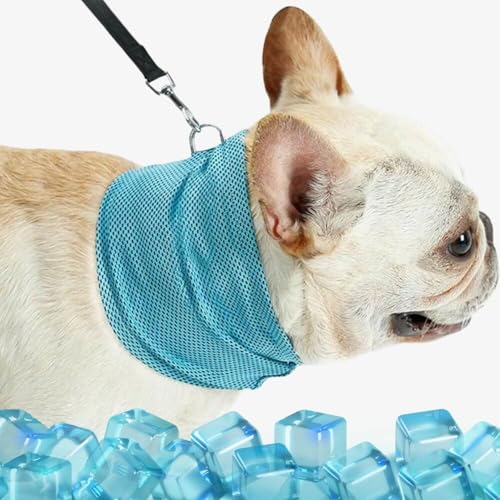 KüHlhalsband FüR Hunde, Kühlender Schal für Hunde und Katzen, Eistuch, Cooles Haustierhalsband, Haustier-Kühlhalsband, Haustier-Sommerkühlhalsband (Blau, L (55×16cm)) von Berisyios