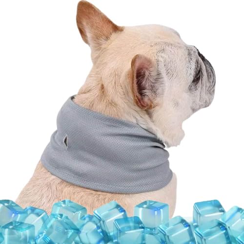 KüHlhalsband FüR Hunde, Kühlender Schal für Hunde und Katzen, Eistuch, Cooles Haustierhalsband, Haustier-Kühlhalsband, Haustier-Sommerkühlhalsband (Grau, L (55×16cm)) von Berisyios
