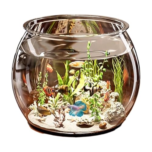 Berriphonia Avarium für Rundfisch, Büro-Aquarium – Zylinder Clear Betta Fish Aquarien, Fish Compact Fish Aquatic Animal Container für Tisch oder Schreibtisch von Berriphonia