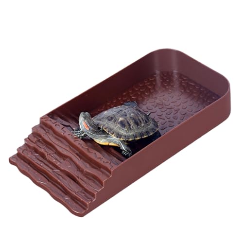 Berriphonia Multifunktionale Futterwanne für Reptilien – Turtle Water Bowl, Wasserschale | Futterschale für Reptilien ohne Verrutschen mit Rampe, Schildkröten, Schildkröten, Eidechsen Berriphonia Multifunktionale Futterwanne für Reptilien – Turtle Water Bowl, Wasserschale | Futterschale für Reptilien ohne Verrutschen mit Rampe, Schildkröten, Schildkröten, Eidechsen von Berriphonia