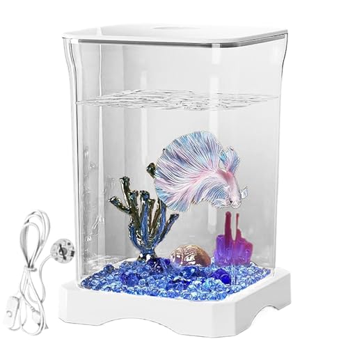 Betta Fisch-Tater mit Filter und LED-Lichtern – kompakt und leicht zu reinigen für Betta und kleine Fische | eleganter und funktionaler Fischlebensraum für Zuhause und Büro Betta Fisch-Tater mit Filter und LED-Lichtern – kompakt und leicht zu reinigen für Betta und kleine Fische | eleganter und funktionaler Fischlebensraum für Zuhause und Büro von Berriphonia