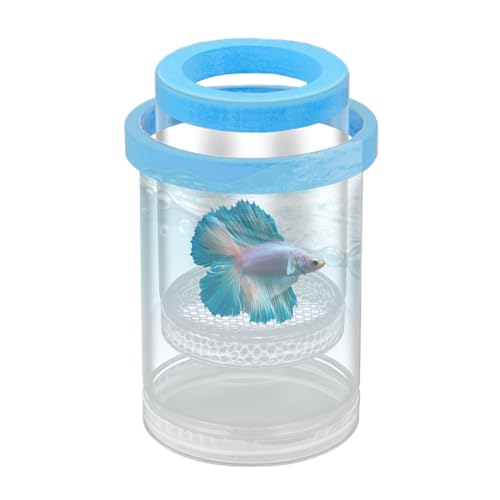 Fischpanzerzüchterbox - Klarer schwimmender Brüterei, Schutzabscheider | Betta Incubator, Betta Inkubator -Separator, Clear Aquarium -Schlupftank für Guppy von Berriphonia