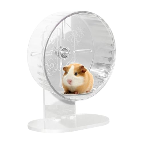 Hamster -Übungsrad - Stille transparente Laufspinner | Verstellbares Haustier -Trainingspielzeug für Rennmäuse, Igel und kleine Tiere 7,09 Zoll von Berriphonia