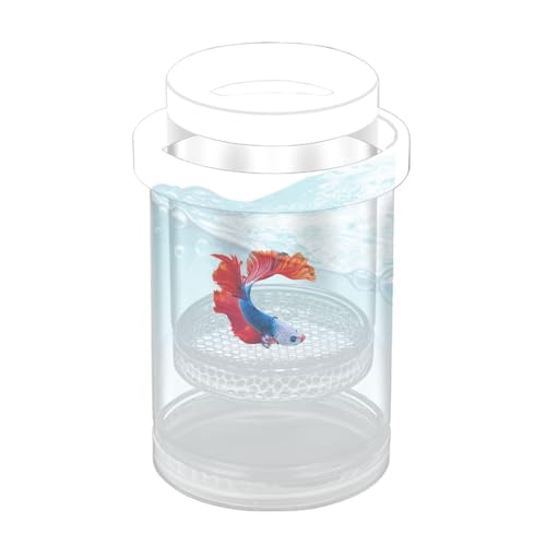 Schwimmende Fischzüchtung - transparente Aquariengebeuterei, sichere Panzerteiler | Betta Incubator, Betta Inkubator -Separator, Clear Aquarium -Schlupftank für Guppy von Berriphonia