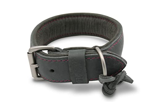 Hundehalsband Berry&Buddy Leder Model Anton (55, Grau/Pink) von Berry&Buddy