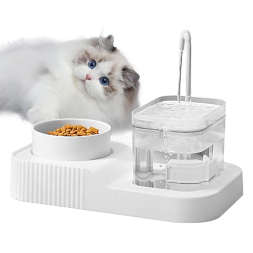 Besreey Katzenfutterspender Haustier Schalen Set, 2 in 1 Schüsseln Feeder Futterspender, Große Kapazität Automatischer Katzenwasserspender für Große, Kleine Hunde, Haustiere, Katzen von Besreey