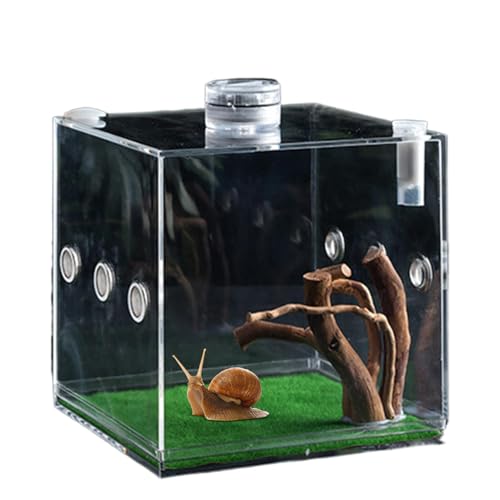 Besreey Reptilienwachstum Terrarium, Sprungspinnengehäuse - Reptilienwachstum Terrarium,Leichte und kleine Tierzüchter für Schildkröten, Käfer, Schnecken und Eidechsen von Besreey