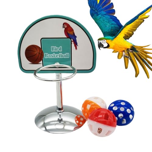 Besreey Vogelspielzeug für Sittiche, Papageienspielzeug für mittlere Vögel,Kleine Papageienspielzeug mit 3 Bällen - Käfigzubehör bereichert für das Spiel Training Cockatiel Besreey Vogelspielzeug für Sittiche, Papageienspielzeug für mittlere Vögel,Kleine Papageienspielzeug mit 3 Bällen - Käfigzubehör bereichert für das Spiel Training Cockatiel von Besreey